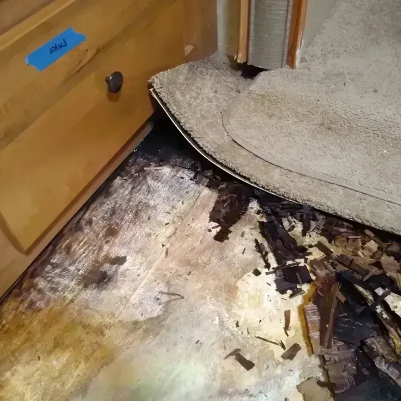 Wood Floor Water Damage in Hettinger County, ND